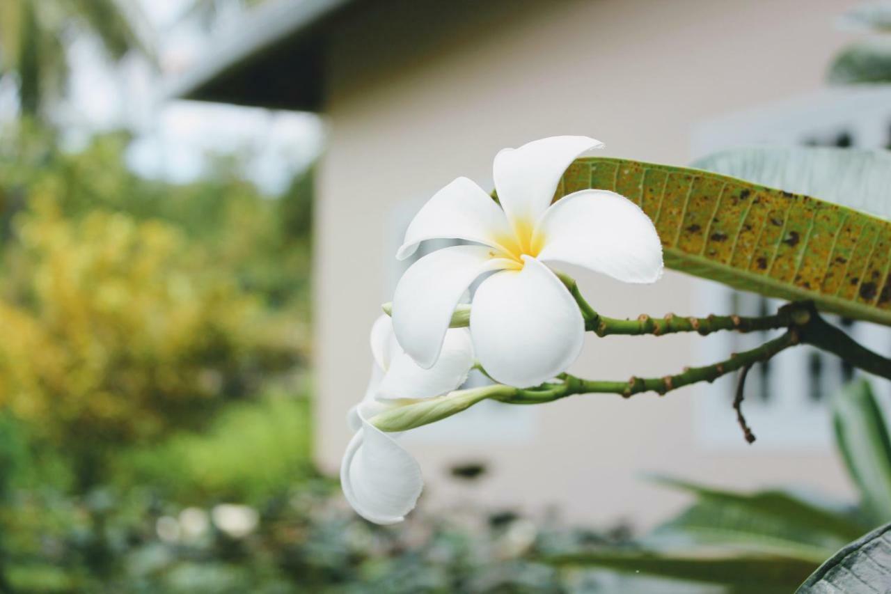 The Trang Villas Nha Trang Dış mekan fotoğraf